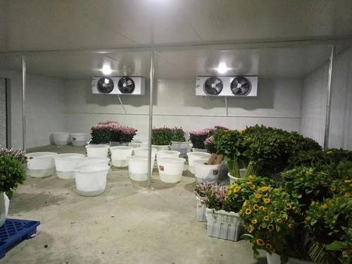 鲜花保鲜冷库